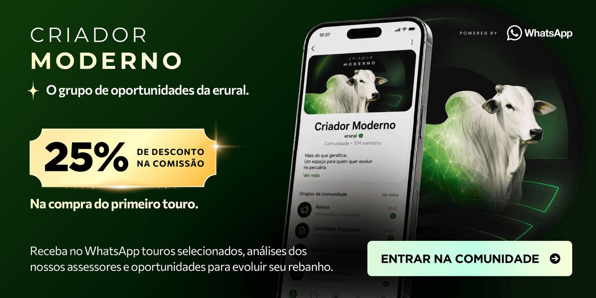 Criador Moderno - O grupo de oportunidades da erural