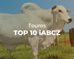 Capa do ranking Top 10 Touros iABCZ